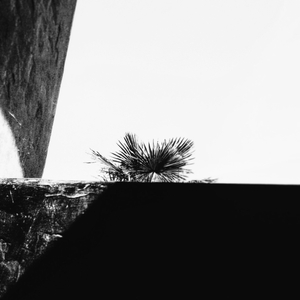 Low Tide On A Saturday