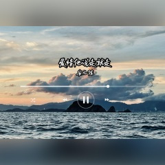 爱情他说走就走 (DJ版伴奏)