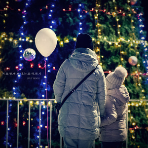 한 겨울밤의 꿈