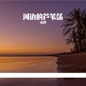 河边的芦苇荡