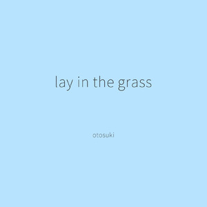 lay in the grass