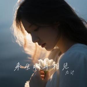 来生啊再相见（九计 Remix）