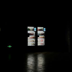 我看了56次日落（cover邵甲天-ET/邹念慈）