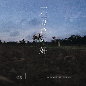 一生只求一个好