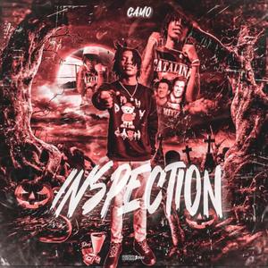 Inspection