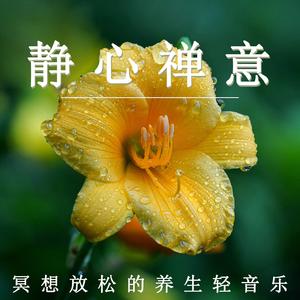 静心禅意（轻音乐）