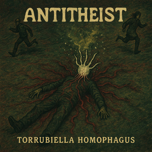 Torrubiella Homophagus