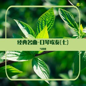 双脚踏上幸福路 (口琴吹奏)
