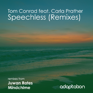 Speechless (Mindchime Remix)