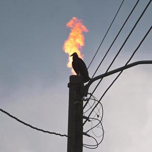 Searching for light (feat. Gax Win)