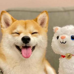 你笑起来真好看