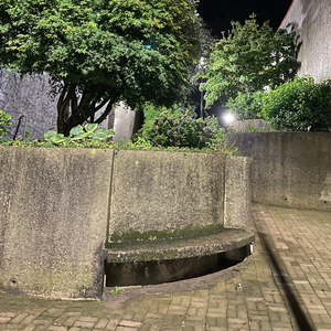 Forget Everything (feat. Slug Christ & Biddy Fox)