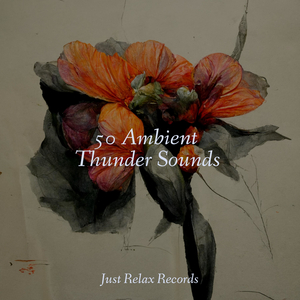 Cosmic Cocooning Groove