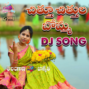 Chithu Chithula Bomma DJ SONG