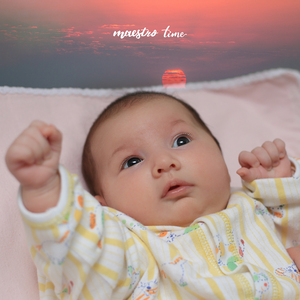 Mozart:Komm, Liebe Zither, Komm K.351