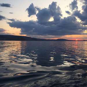 黄英-映山红DJ（海棠 remix）