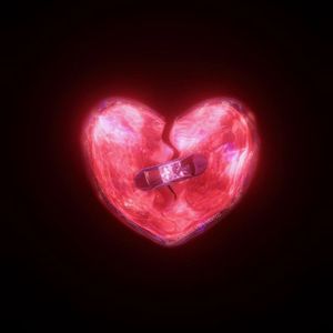 我想我不会再爱你