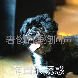 抚慰的训练犬回忆