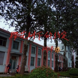 樱花树下的约定（翻自 名决）