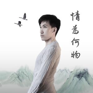 情为何物 (舞曲版)