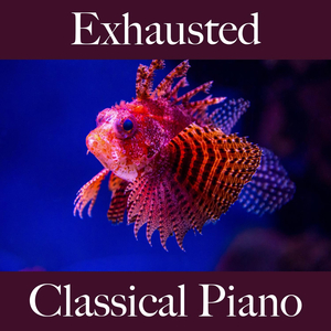 The Road Less Traveled