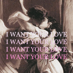 I Want Your Love