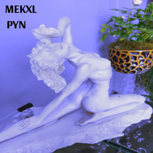 Pyn