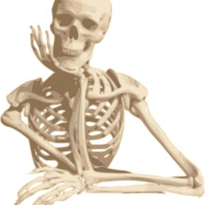 Skeleton