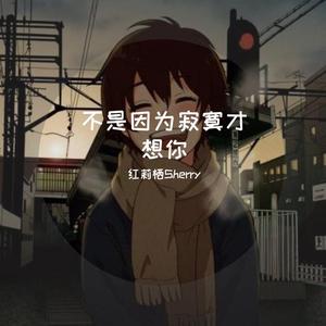 不是因为寂才想你