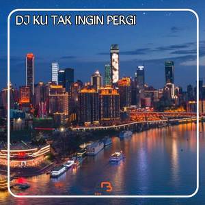 Dj Ku Tak Ingin Pergi Remix Viral