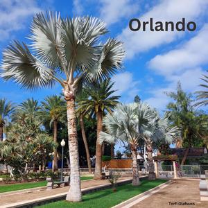 Orlando