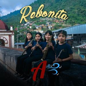 Rebonita