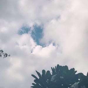 å¹»å¬ è¤ä¸okç