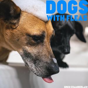 Dogs With Fleas