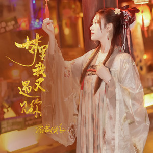 梦里我又遇见你 (DJ默涵版)