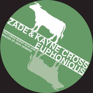 Euphonious (Shades of Gray heading deeper remix)