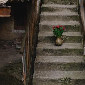 夜空中最亮的星（cover逃跑计划）