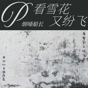 看雪花又纷飞（翻自 张艺迈）