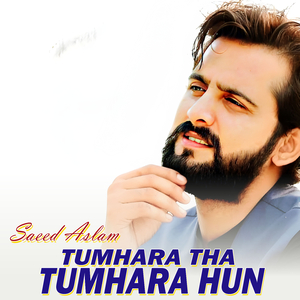 Wardi Main Dakoo Hain (1)