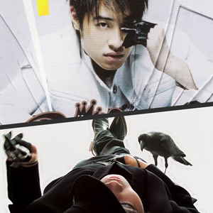 一个很高的杀手