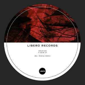 P Vibin (Original Mix)