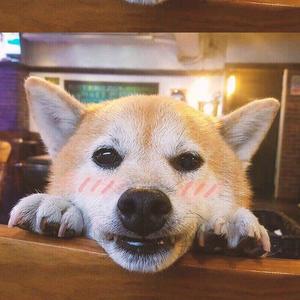 不期而遇的温暖