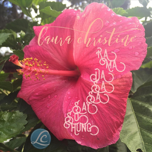 Ra Ma Da Sa Sa Say So Hung