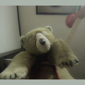 スノーフレーク