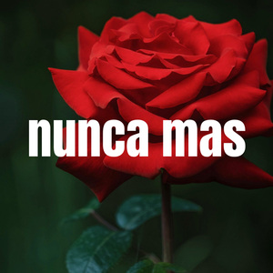 NUNCA MAS