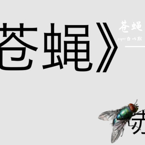 苍蝇