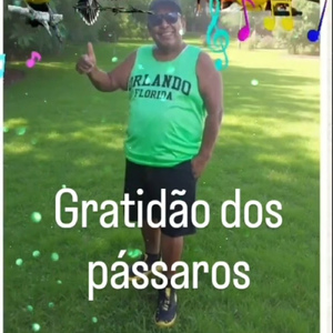 Gratidão dos pássaros