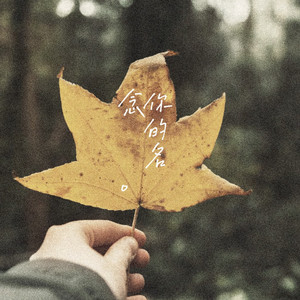 念你的名