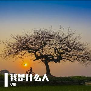 我是什么人
