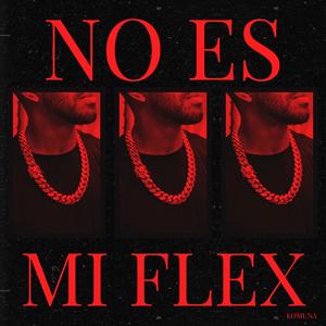 No es mi flex